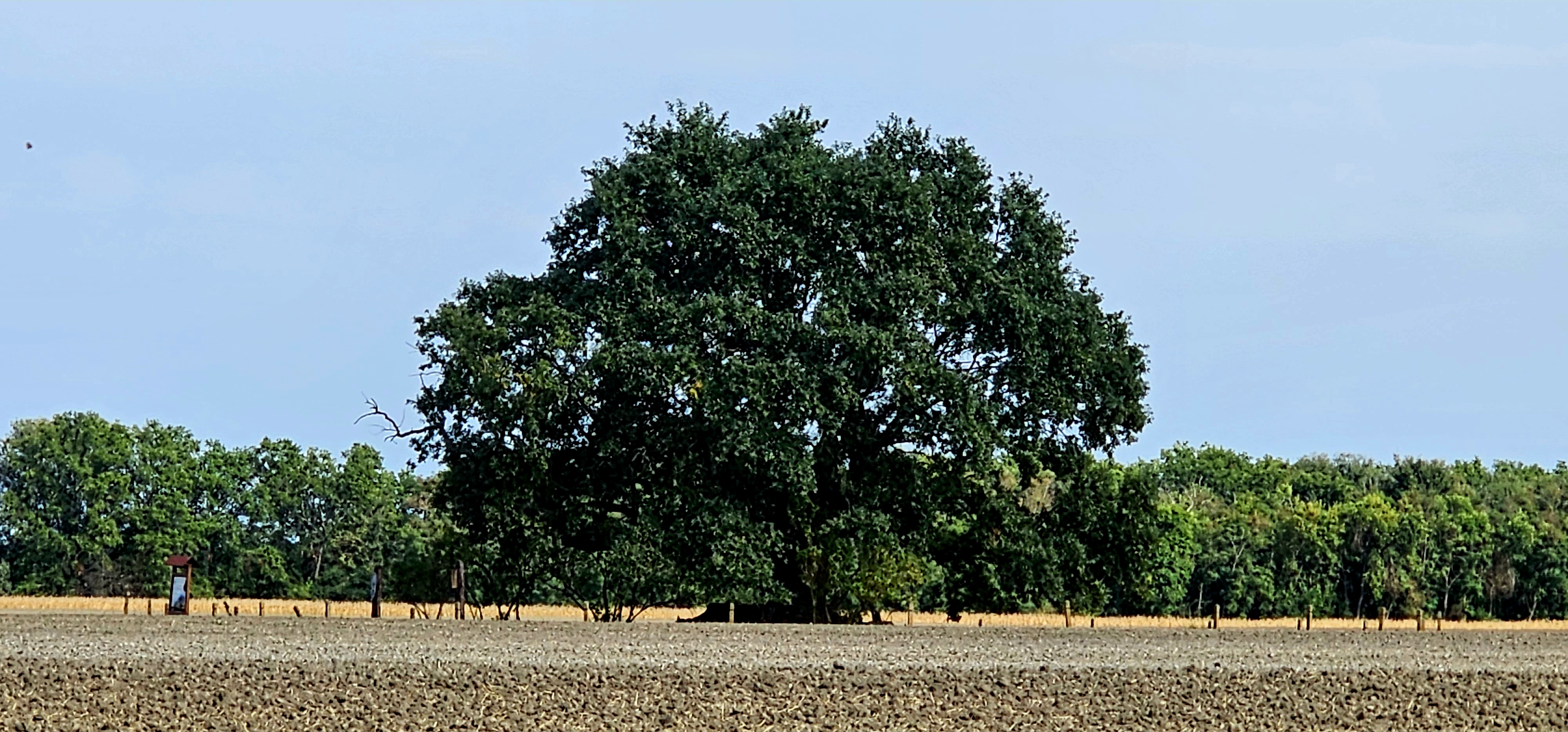 place image